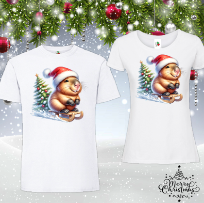 Забавен коледен комплект-  Капибара