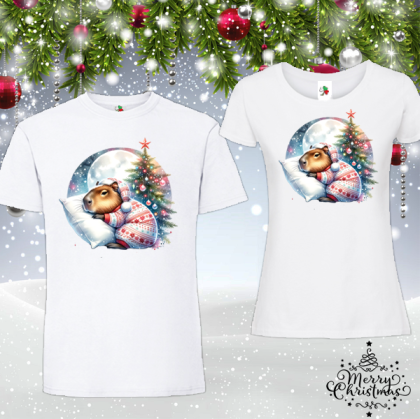 Забавен коледен комплект-  Капибара